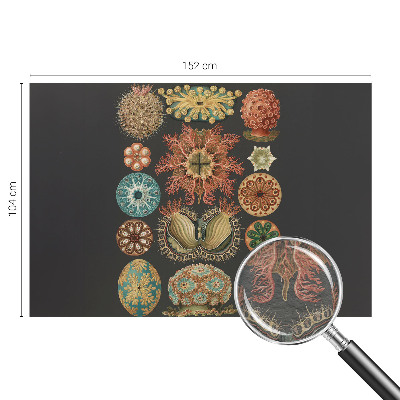 Mural de parede Inspirações marítimas