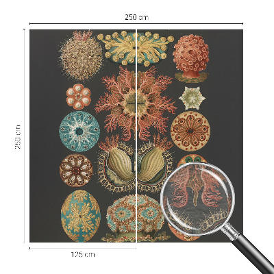 Mural de parede Inspirações marítimas