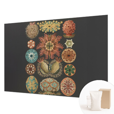 Mural de parede Inspirações marítimas