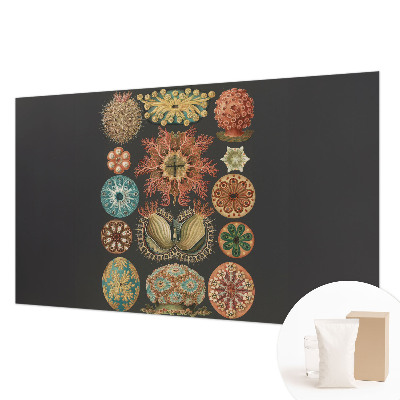 Mural de parede Inspirações marítimas