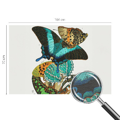 Mural fotográfico Borboletas coloridas