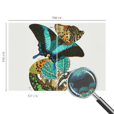 Mural fotográfico Borboletas coloridas