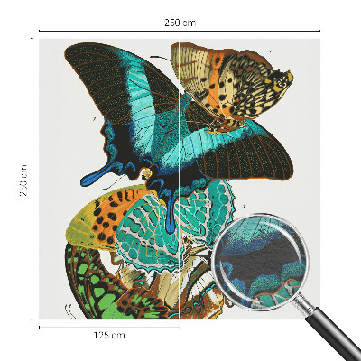 Mural fotográfico Borboletas coloridas