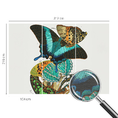 Mural fotográfico Borboletas coloridas