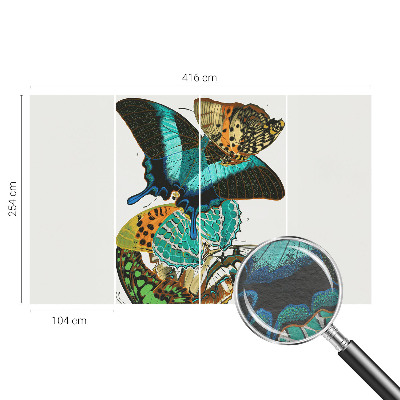 Mural fotográfico Borboletas coloridas