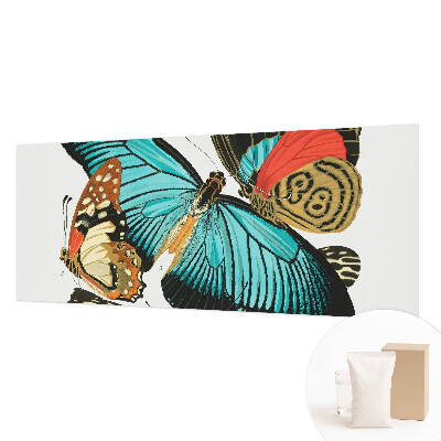 Papel de parede Borboletas coloridas
