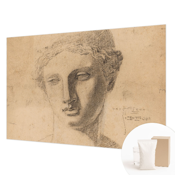 Papel de parede decorativo Retrato feminino
