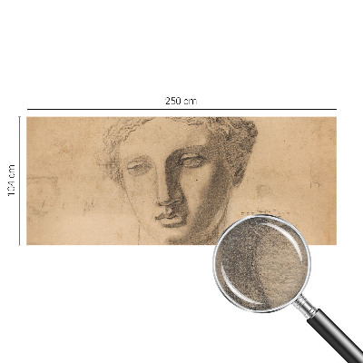Papel de parede decorativo Retrato feminino
