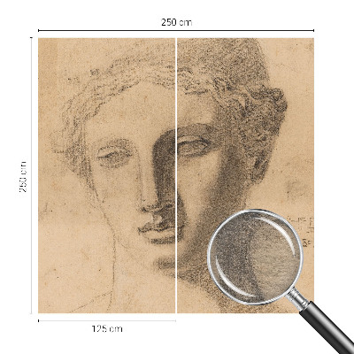 Papel de parede decorativo Retrato feminino