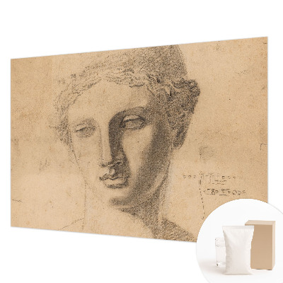 Papel de parede decorativo Retrato feminino