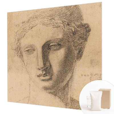 Papel de parede decorativo Retrato feminino