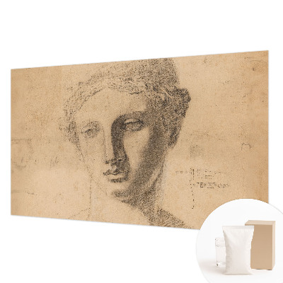 Papel de parede decorativo Retrato feminino