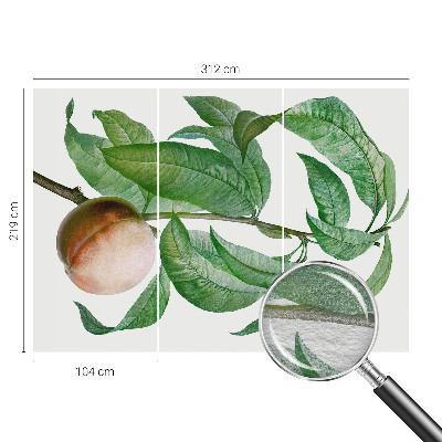 Mural de parede Pêssego maduro