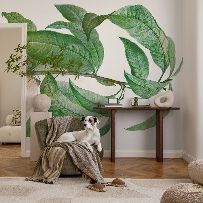 Mural de parede Pêssego maduro