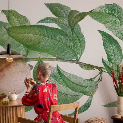 Mural de parede Pêssego maduro