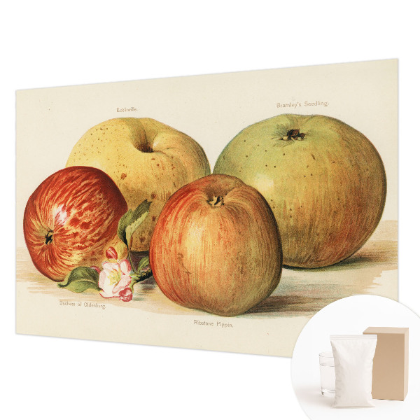 Mural fotográfico flores de macieira