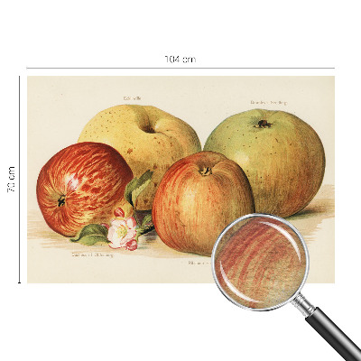 Mural fotográfico flores de macieira