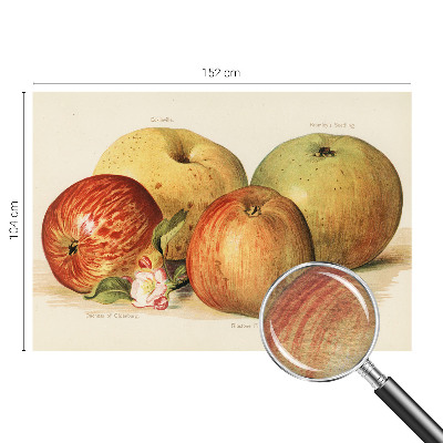 Mural fotográfico flores de macieira