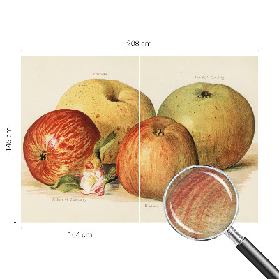 Mural fotográfico flores de macieira