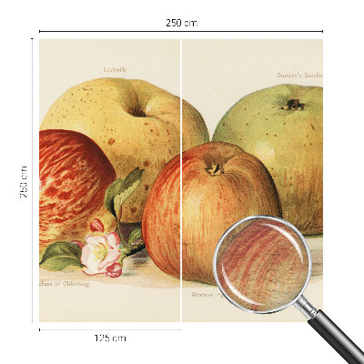 Mural fotográfico flores de macieira