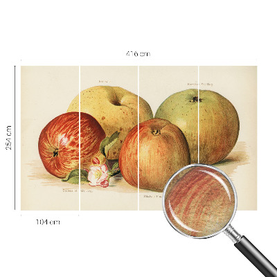 Mural fotográfico flores de macieira