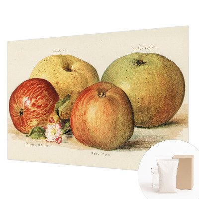 Mural fotográfico flores de macieira