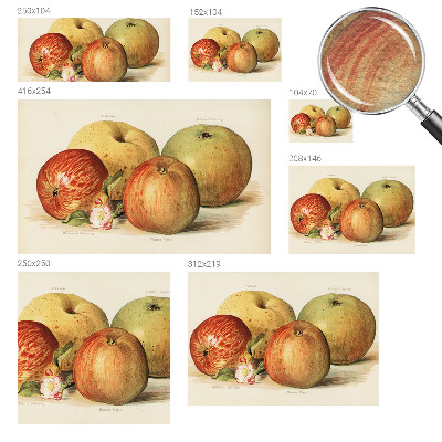 Mural fotográfico flores de macieira