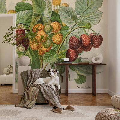 Papel de parede Framboesas clássicas