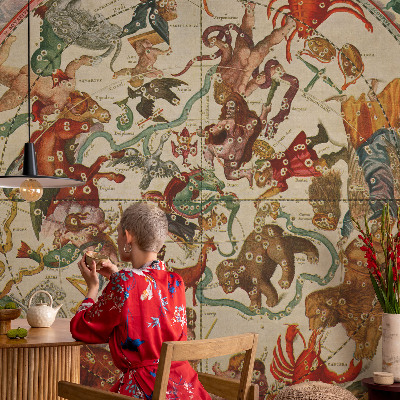 Mural de fotos na parede Composições estelares