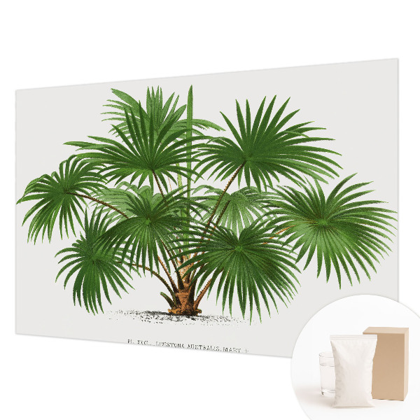 Papel de parede fotográfico Padrão exótico