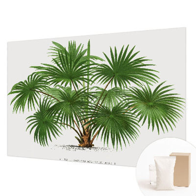 Papel de parede fotográfico Padrão exótico