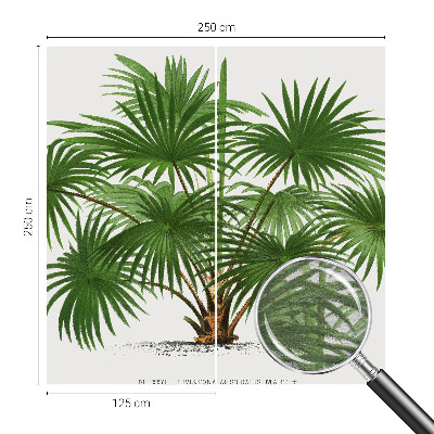 Papel de parede fotográfico Padrão exótico