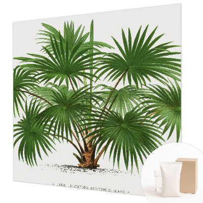 Papel de parede fotográfico Padrão exótico