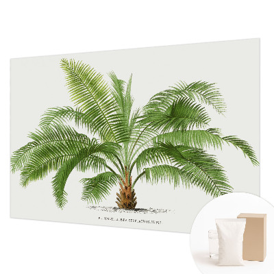 Papel de parede para sala Palmeira brilhante