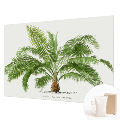 Papel de parede para sala Palmeira brilhante