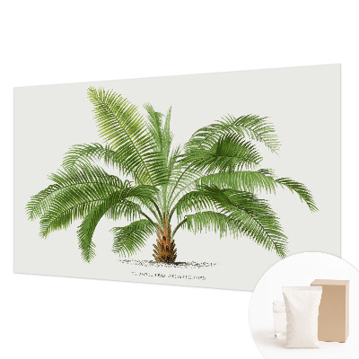 Papel de parede para sala Palmeira brilhante