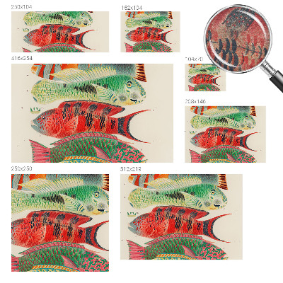 Papel de parede para quarto Peixes exóticos