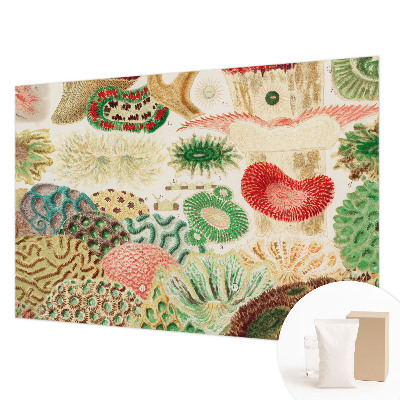 Papel de parede decorativo Formas orgânicas