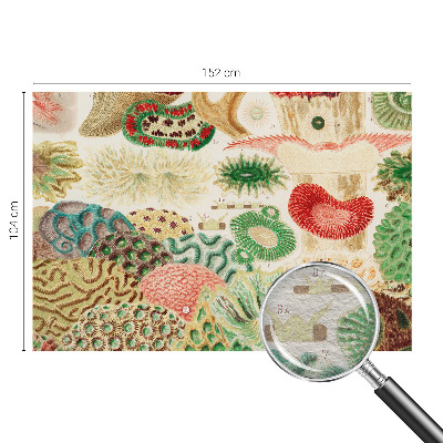 Papel de parede decorativo Formas orgânicas