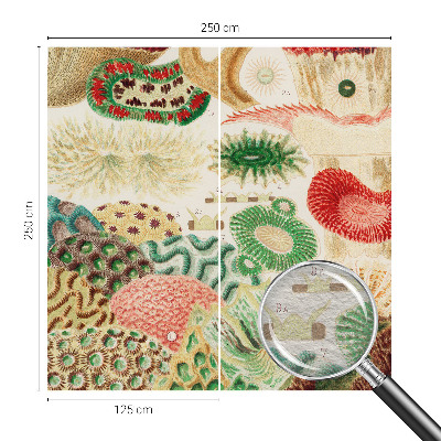 Papel de parede decorativo Formas orgânicas