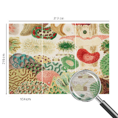 Papel de parede decorativo Formas orgânicas