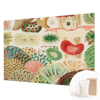 Papel de parede decorativo Formas orgânicas