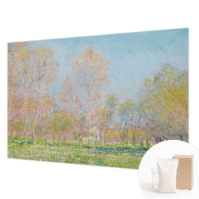 Mural de parede Parque da primavera