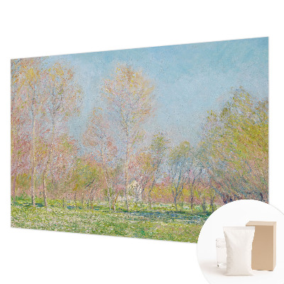 Mural de parede Parque da primavera