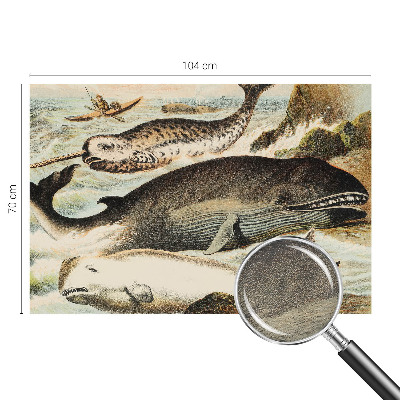 Papel de parede fotográfico Gigantes marinhos