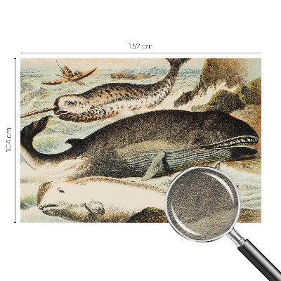 Papel de parede fotográfico Gigantes marinhos