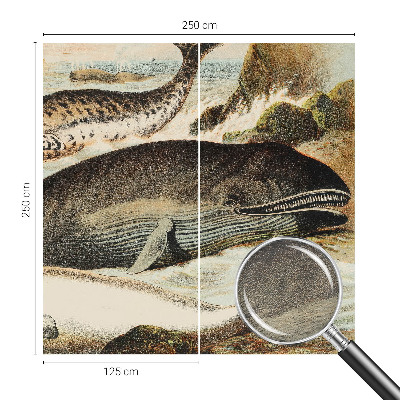 Papel de parede fotográfico Gigantes marinhos