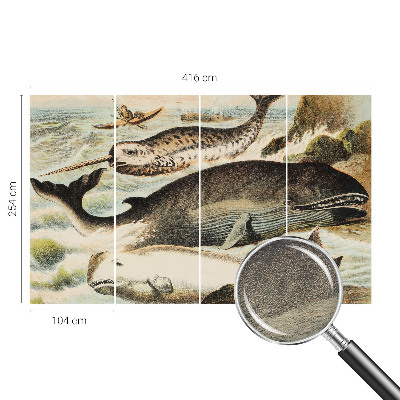 Papel de parede fotográfico Gigantes marinhos