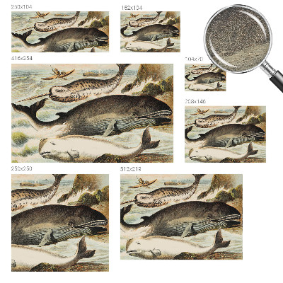 Papel de parede fotográfico Gigantes marinhos