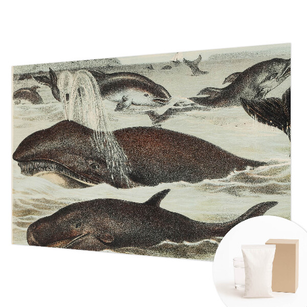Papel de parede para sala criaturas marinhas
